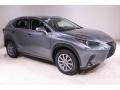 Nebula Gray Pearl 2019 Lexus NX 300h Hybrid AWD