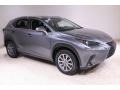 Nebula Gray Pearl 2019 Lexus NX 300h Hybrid AWD