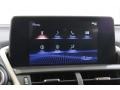 Nebula Gray Pearl - NX 300h Hybrid AWD Photo No. 10