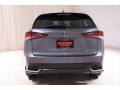 Nebula Gray Pearl - NX 300h Hybrid AWD Photo No. 21