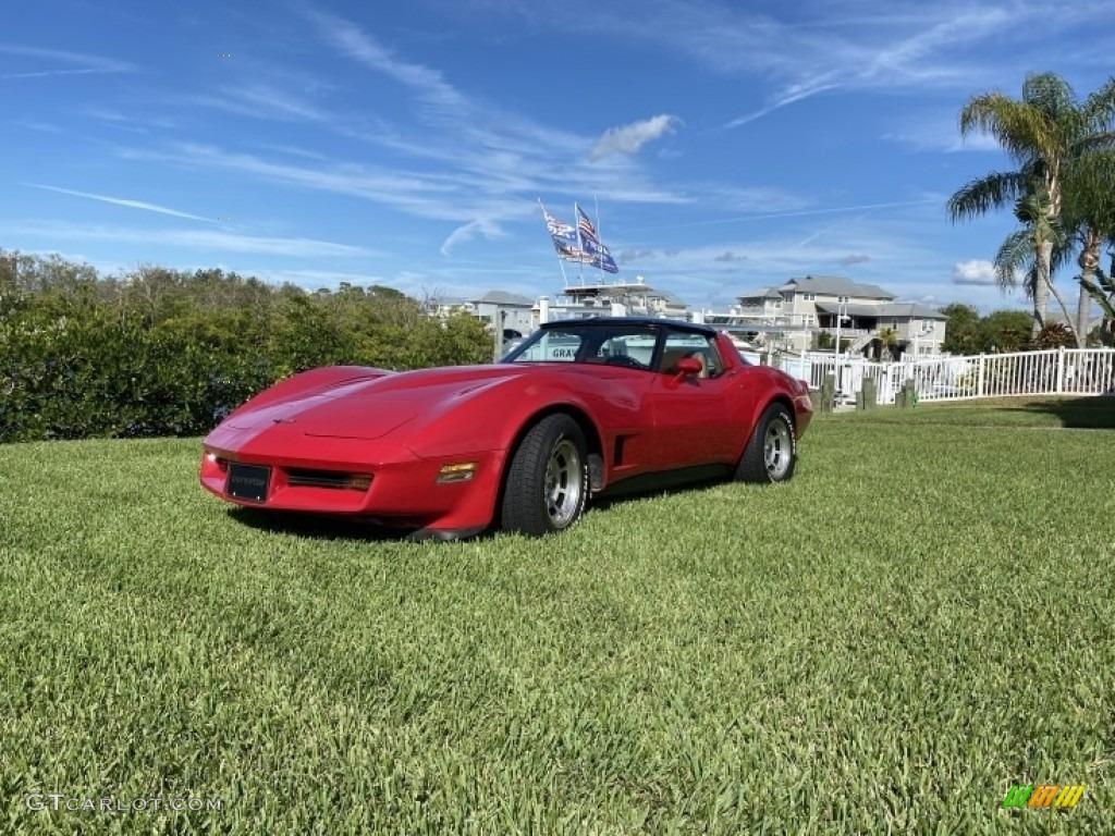 1981 Corvette Coupe - Autumn Red / Camel photo #7
