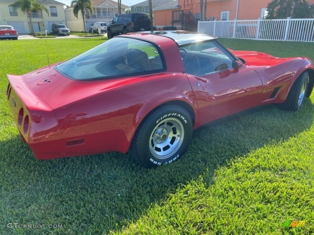 1981 Corvette Coupe - Autumn Red / Camel photo #9