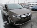 2019 Pacific Pewter Metallic Honda Odyssey EX-L  photo #5