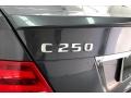 Steel Grey Metallic - C 250 Coupe Photo No. 31