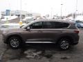 2020 Earthy Bronze Hyundai Santa Fe SEL AWD  photo #6