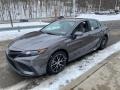 Predawn Gray Mica - Camry SE AWD Photo No. 12