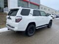 Super White - 4Runner TRD Off Road Premium 4x4 Photo No. 14