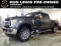 Magnetic 2019 Ford F250 Super Duty XLT Crew Cab 4x4