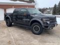 2014 Tuxedo Black Ford F150 SVT Raptor SuperCrew 4x4  photo #8