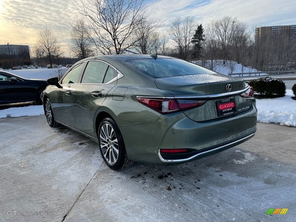 2021 ES 250 AWD - Sunlit Green / Black photo #4