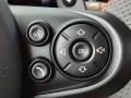 2021 Mini Hardtop Dinamica/Carbon Black Double Stripe Interior Steering Wheel Photo
