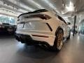 2020 Bianco Icarus Metallic Lamborghini Urus AWD  photo #12
