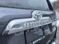 Magnetic Gray Metallic - 4Runner Limited 4x4 Photo No. 24