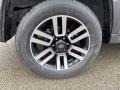 Magnetic Gray Metallic - 4Runner Limited 4x4 Photo No. 33