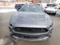 Carbonized Gray Metallic - Mustang EcoBoost Fastback Photo No. 4