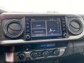 Magnetic Gray Metallic - Tacoma SR5 Access Cab 4x4 Photo No. 8