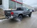 Magnetic Gray Metallic - Tacoma SR5 Access Cab 4x4 Photo No. 13