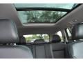 Platinum Gray Metallic - Atlas SEL 4Motion Photo No. 19