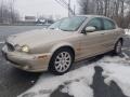 2003 Zircon Metallic Jaguar X-Type 2.5  photo #7