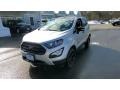 Moondust Silver Metallic - EcoSport SES 4WD Photo No. 3