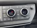 2021 Land Rover Defender 110 X-Dynamic HSE Controls