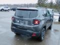 Granite Crystal Metallic - Renegade 80th Annivesary 4x4 Photo No. 5