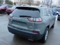 Sting-Gray - Cherokee Latitude Lux 4x4 Photo No. 5