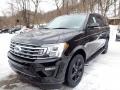 Agate Black 2021 Ford Expedition XLT 4x4 Exterior
