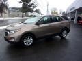 Sandy Ridge Metallic - Equinox LS AWD Photo No. 6