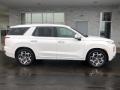 2021 Hyper White Hyundai Palisade Calligraphy AWD  photo #2