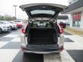 Sandstorm Metallic - CR-V EX-L AWD Photo No. 5