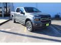 Lead Foot - F150 XLT SuperCrew 4x4 Photo No. 2