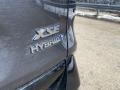 Magnetic Gray Metallic - RAV4 XSE AWD Hybrid Photo No. 25