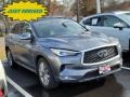Graphite Shadow - QX50 Luxe AWD Photo No. 1