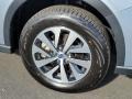 Ice Silver Metallic - Outback 2.5i Premium Photo No. 21