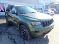 Green Metallic - Grand Cherokee Trailhawk 4x4 Photo No. 8