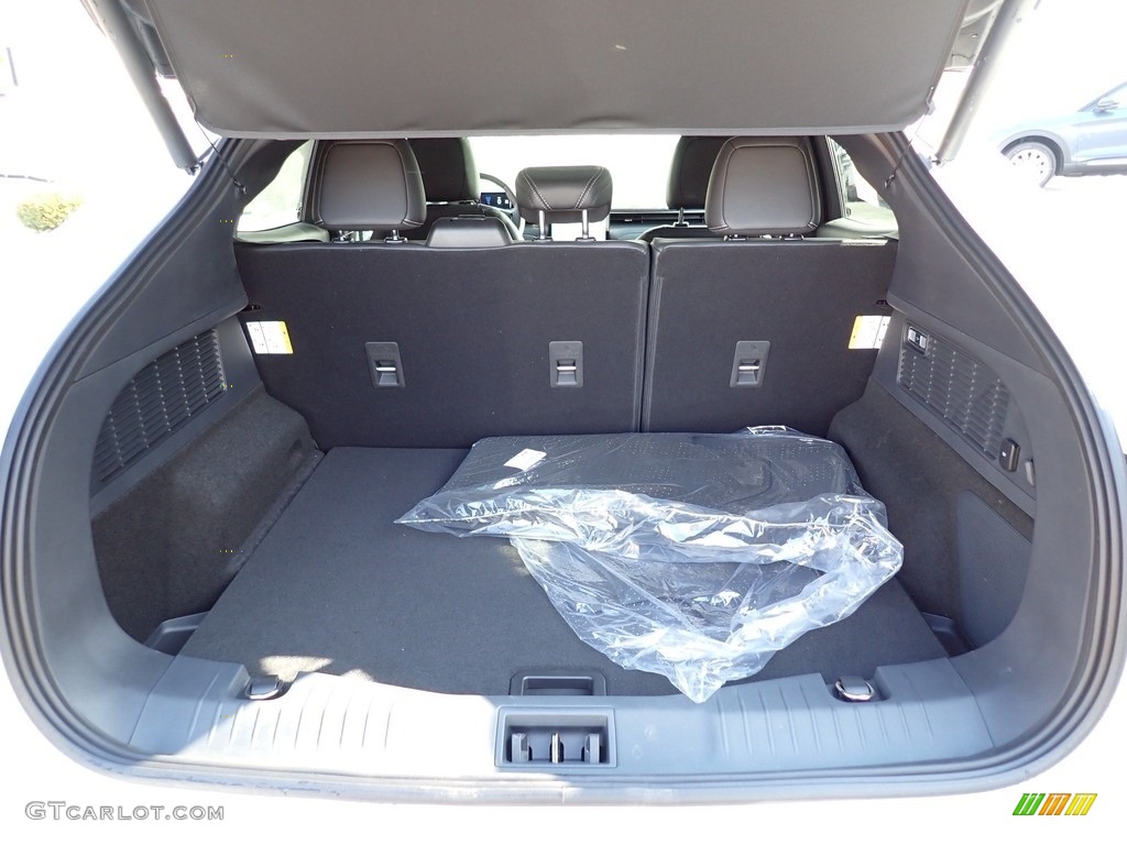 2021 Ford Mustang Mach-E Premium eAWD Trunk Photo #141192262