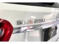 Polar White - GLA 250 Photo No. 31