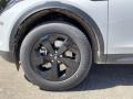 Fuji White - Discovery Sport S Photo No. 11