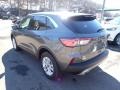 Carbonized Gray Metallic - Escape SE 4WD Photo No. 6