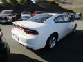 White Knuckle - Charger SXT Photo No. 3