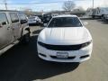 White Knuckle - Charger SXT Photo No. 5