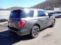 2021 Magnetic Metallic Ford Expedition Limited Stealth Package 4x4  photo #2