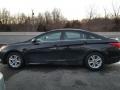 Phantom Black Metallic - Sonata GLS Photo No. 6