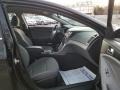 Phantom Black Metallic - Sonata GLS Photo No. 10
