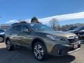 Autumn Green Metallic 2021 Subaru Outback 2.5i Limited
