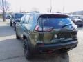 Olive Green Pearl - Cherokee Traihawk 4x4 Photo No. 8