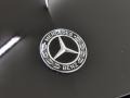 2017 Mercedes-Benz E 300 Sedan Badge and Logo Photo