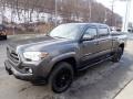 Cement Gray - Tacoma SR5 Double Cab 4x4 Photo No. 6