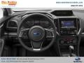 Pure Red - Crosstrek 2.0 Premium Photo No. 9